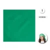 Bandana Liso Verde Andaluz