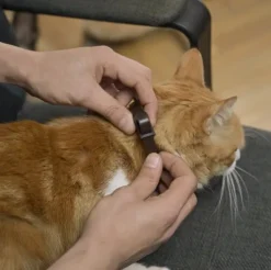 Collar Repelente Para Gatos