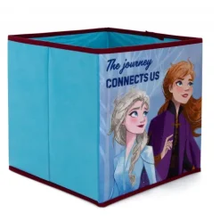 Contenedor Cubo Frozen