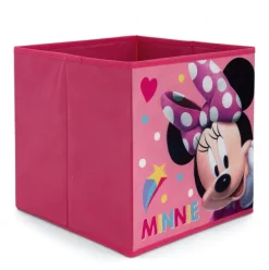 Contenedor Cubo Minnie