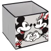 Contenedor Cubo Minnie y Mickey