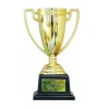 Copa Trofeo Mejor Abuelo