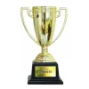 Copa Trofeo Mejor Amante