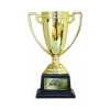 Copa Trofeo Mejor Amiga