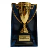Copa Trofeo Mejor Entrenador