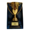 Copa Trofeo Mejor Hijo