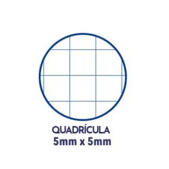 Cuaderno Oxford Touch 80H 90G Lima
