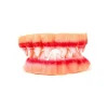 Dentadura Doble Con Sangre