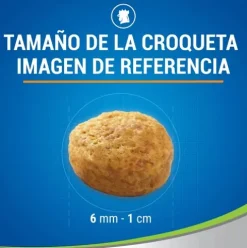 Dentalife Snacks Pollo 40g