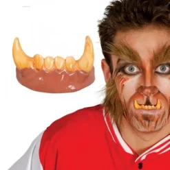 Dientes Colmillos Lobo