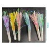 Espantasuegras 6PCS