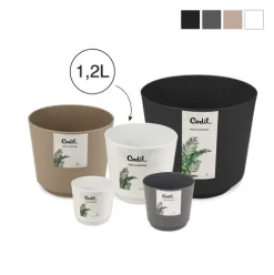 Florero BeClassic 1.2L