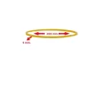 Gomas Elásticas Nº20 5x200mm