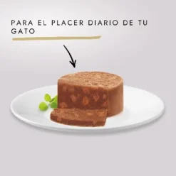 Gourmet Gold Terrine Pollo 85g