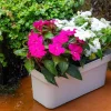Jardinera Plástico Rectangular 50cm