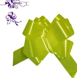 Lazo Automático Cinta Pistacho 30MM