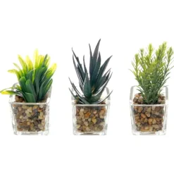 Maceta Vidrio Planta Surt