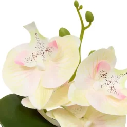 Orquídea Mick Maceta Cemento 25cm