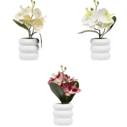 Orquídea Mick Maceta Cemento 25cm