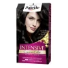 Palette Intensive Tinte 1 Negro