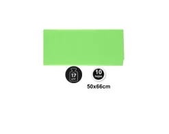 Papel Seda 50X66CM 10U Pistacho