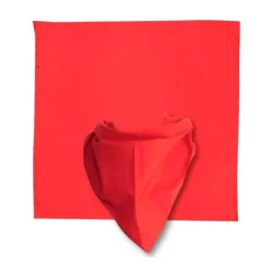 Pañuelo Liso Rojo