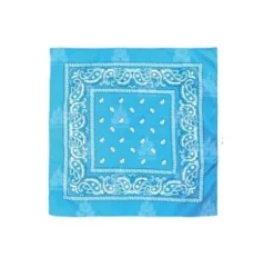 Pañuelo Paisley Azul