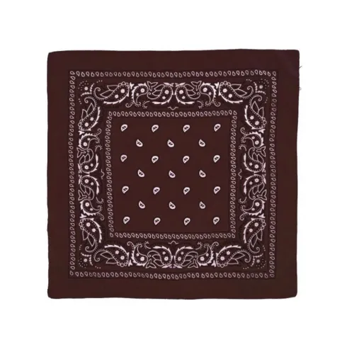 Pañuelo Paisley Café