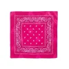 Pañuelo Paisley Fucsia