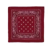 Pañuelo Paisley Granate
