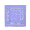 Pañuelo Paisley Lila