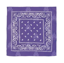 Pañuelo Paisley Morado