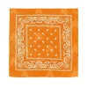 Pañuelo Paisley Naranja