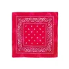 Pañuelo Paisley Rojo
