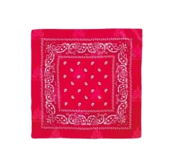 Pañuelo Paisley Rojo