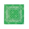 Pañuelo Paisley Verde