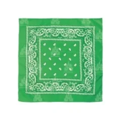 Pañuelo Paisley Verde