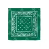 Pañuelo Paisley Verde Hierba
