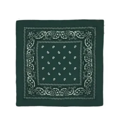 Pañuelo Paisley Verde Osc