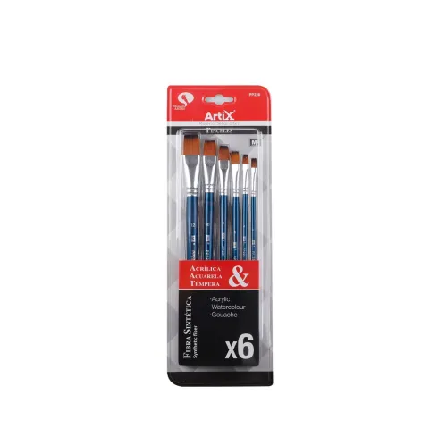 Pincel Profesional 6u