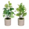 Planta Artificial Hojas Verde 28cm Surt