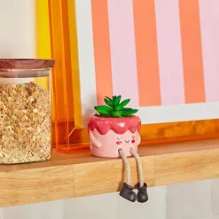 Planta Perenne Kawai Con Maceta Cerámica