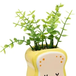 Planta Perenne Kawai Con Maceta Cerámica