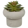 Planta Suculenta Maceta Cemento Stefi 10cm
