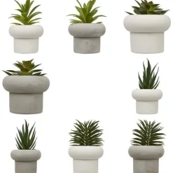 Planta Suculenta Maceta Cemento Stefi 10cm