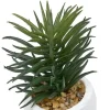Planta Suculenta Maceta Cemento Teri 13cm
