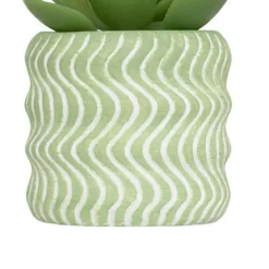 Planta Suculenta Maceta Cemento Ubi 7cm