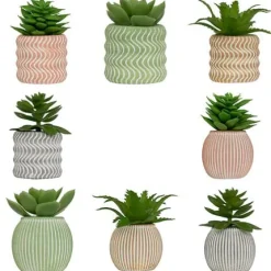 Planta Suculenta Maceta Cemento Ubi 7cm
