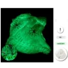 Telarañas Blanco Fluorescente 20G Con 2 Arañas