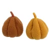 Tope Puerta Calabaza
